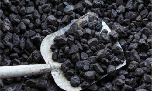Diferencias básicas entre el carbón vegetal y el mineral - Combustibles  Garbosa
